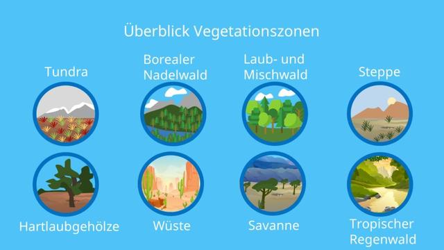 Vegetationszonen: Welche Pflanzen wachsen wo? Vegetationszonen: Welche Pflanzen wachsen wo?