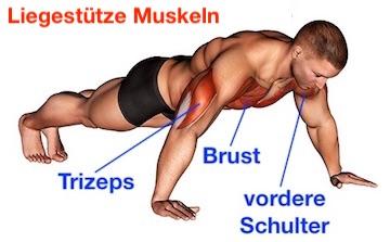 3. Liegestütze als Ganzkörper-Workout: Muskeln stärken und Balance verbessern