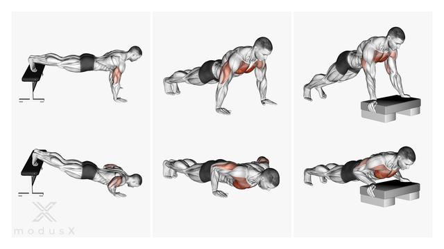 2. Muskelaufbau mit Liegestützen: Welche Muskelgruppen werden trainiert?