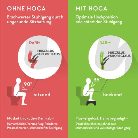 Wie man mit Hausmitteln gegen harten Stuhlgang vorgehen kann Wie man mit Hausmitteln gegen harten Stuhlgang vorgehen kann