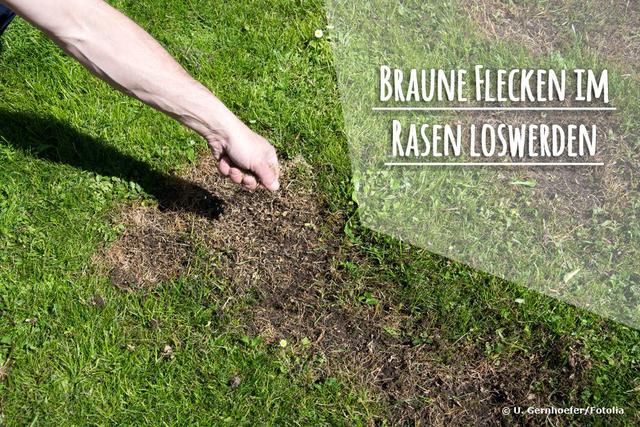 Was tun bei verbranntem Rasen? Tipps und Tricks Sieu Thi Do Noi That