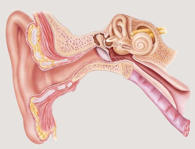4. Vorbeugung und Diagnose eines Trommelfellrisses