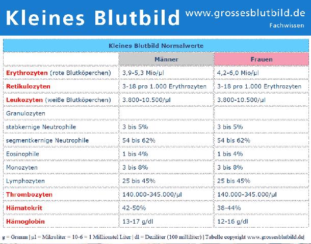 Was wird beim kleinen Blutbild alles analysiert? Was wird beim kleinen Blutbild alles analysiert?