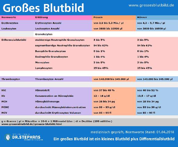 Welche Werte werden im großen Blutbild getestet? Welche Werte werden im großen Blutbild getestet?