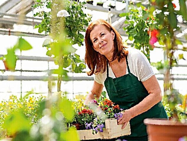 Wenn die Rente nicht zum Leben reicht: Leistungen des Sozialamts im Überblick Wenn die Rente nicht zum Leben reicht: Leistungen des Sozialamts im Überblick