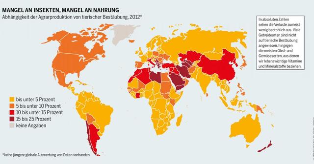 Die Heilkraft der Hanfpflanze: Wie sie weltweit Böses abwendet Die Heilkraft der Hanfpflanze: Wie sie weltweit Böses abwendet