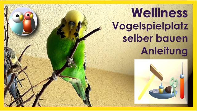 DIY-Projekt: Schritt-für-Schritt-Anleitung für einen Vogelspielplatz DIY-Projekt: Schritt-für-Schritt-Anleitung für einen Vogelspielplatz