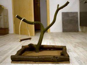 Bauanleitung: Vogelspielplatz aus Holz selber machen Bauanleitung: Vogelspielplatz aus Holz selber machen