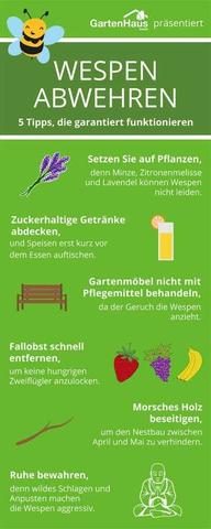 Natürliche Abwehr von Wespen: Tipps zur Vermeidung von Wespennestern Natürliche Abwehr von Wespen: Tipps zur Vermeidung von Wespennestern