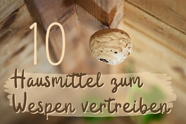 Gartenökologie im Gleichgewicht: Förderung von Nützlingen und Bekämpfung von Schädlingen Gartenökologie im Gleichgewicht: Förderung von Nützlingen und Bekämpfung von Schädlingen