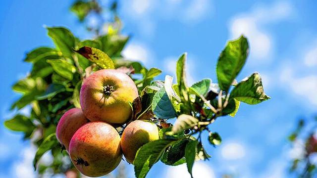 Morgenwetter in Deutschland: Sommerliche Temperaturen trotz Herbstbeginn Morgenwetter in Deutschland: Sommerliche Temperaturen trotz Herbstbeginn