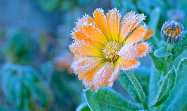 Eisheilige im Mai: Kaltlufteinbrüche trotz steigendem Sonnenstand