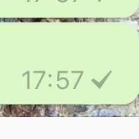 WhatsApp: Wann wird nur ein grauer Haken angezeigt? WhatsApp: Wann wird nur ein grauer Haken angezeigt?