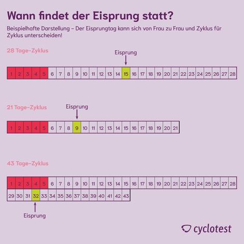 Eisprung erkennen: 6 Symptome, die darauf hinweisen