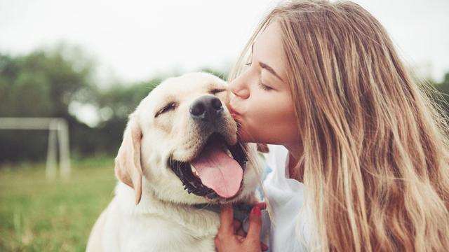 Die Bedeutung des Kuschelns: Warum Hunde gerne nah bei ihren Besitzern sind Die Bedeutung des Kuschelns: Warum Hunde gerne nah bei ihren Besitzern sind