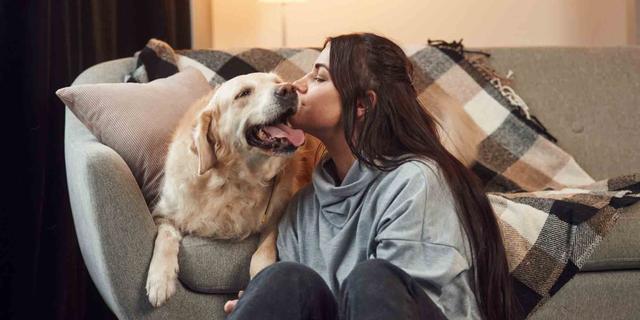 Warum kuschelt sich mein Hund an mich? Die Bedeutung von körperlicher Nähe bei Hunden Warum kuschelt sich mein Hund an mich? Die Bedeutung von körperlicher Nähe bei Hunden