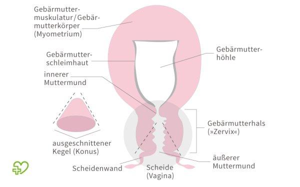 Tipps für die richtige Erholung nach einer Konisation