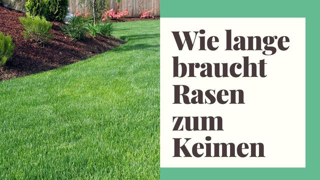 Keimdauer von Rasen: Wie lange müssen Sie warten?