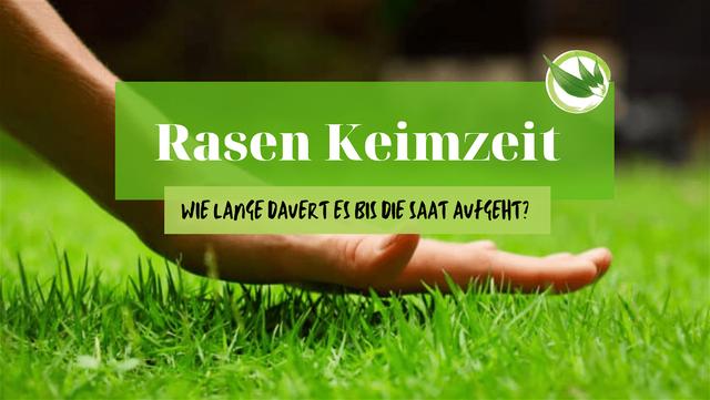 Warten auf das grüne Wunder: Wie lange dauert die Keimung von Rasen?