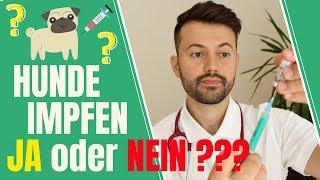 Wie lange darf man eine Impfung beim Hund überziehen? Wie lange darf man eine Impfung beim Hund überziehen?