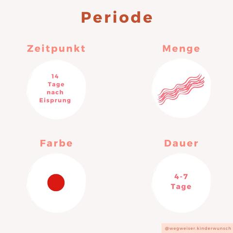 Dauer der Einnistungsblutung: Was ist normal?