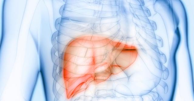 Dauer der Rückbildung einer Fettleber: Was ist zu erwarten? Dauer der Rückbildung einer Fettleber: Was ist zu erwarten?