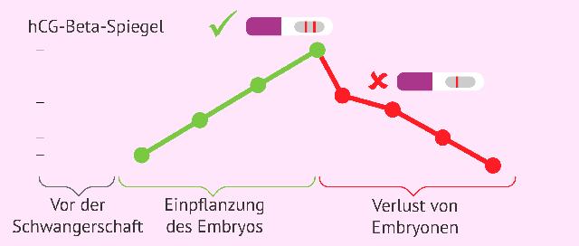 Zeitlicher Verlauf der Hormonumstellung nach einem Schwangerschaftsabbruch Zeitlicher Verlauf der Hormonumstellung nach einem Schwangerschaftsabbruch