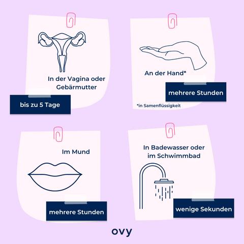 Fruchtbare Tage: Wie lange können Spermien auf eine Eizelle warten? Fruchtbare Tage: Wie lange können Spermien auf eine Eizelle warten?