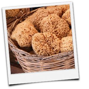 Haltbarkeit von Holzpellets in Sacksware: Wie lange kann man sie lagern? Haltbarkeit von Holzpellets in Sacksware: Wie lange kann man sie lagern?