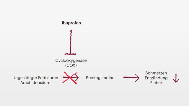 Wirksamkeit und Dauer der Wirkung von Ibuprofen 600 mg