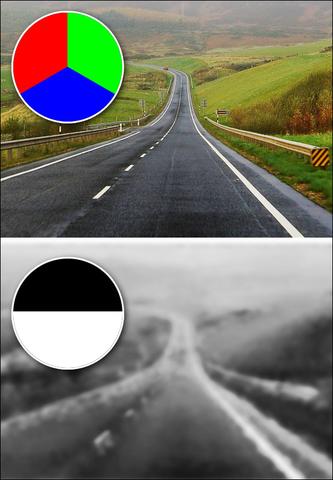 Irrtümer über Farbenblindheit: Aufklärung über die tatsächliche Sehstörung Irrtümer über Farbenblindheit: Aufklärung über die tatsächliche Sehstörung