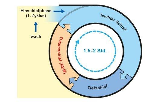 Wie viel Tiefschlaf braucht man? Wie viel Tiefschlaf braucht man?