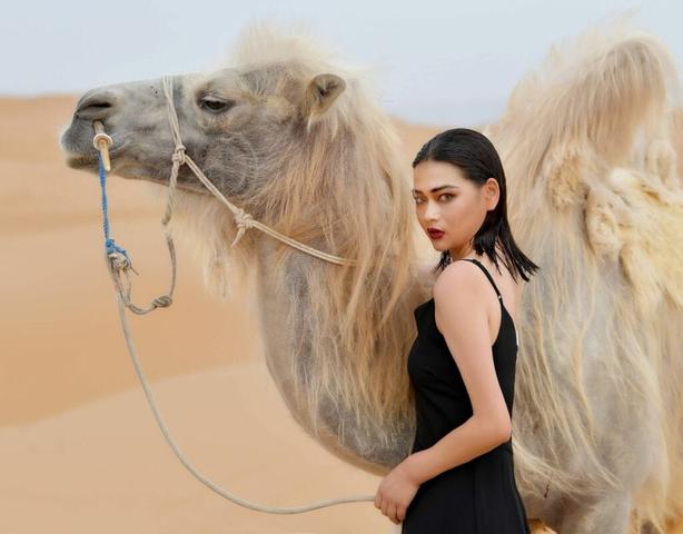 Entdecke deinen "Kamel-Wert" und lass dich überraschen! Entdecke deinen "Kamel-Wert" und lass dich überraschen!