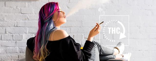 Wie erfolgt der Abbau des berauschenden Wirkstoffs von Haschisch im Körper? Wie erfolgt der Abbau des berauschenden Wirkstoffs von Haschisch im Körper?