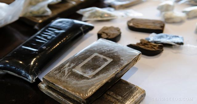 Traditionelle und moderne Techniken zur Herstellung von Haschisch Traditionelle und moderne Techniken zur Herstellung von Haschisch