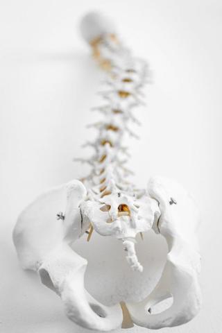 Zeitrahmen für das Autofahren nach einem Wirbelbruch Zeitrahmen für das Autofahren nach einem Wirbelbruch