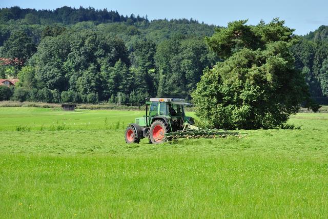 Schritt-für-Schritt-Anleitung: Wiesenschleppe selber bauen