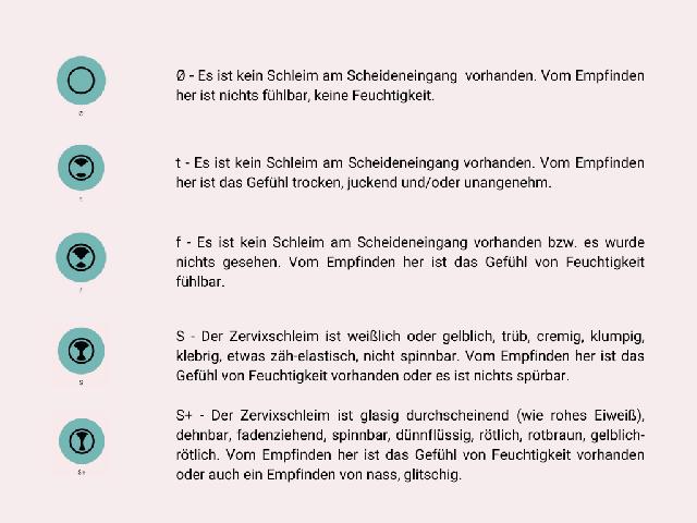 Eisprung erkennen durch die Beobachtung von spinnbarem Zervixschleim Eisprung erkennen durch die Beobachtung von spinnbarem Zervixschleim