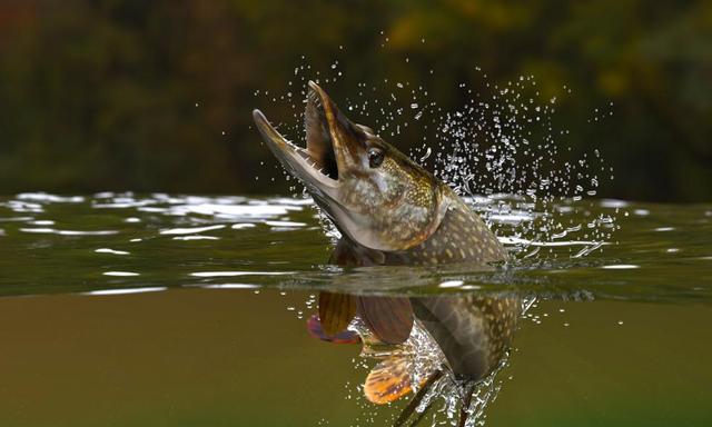 Die Bedeutung der Redewendung 