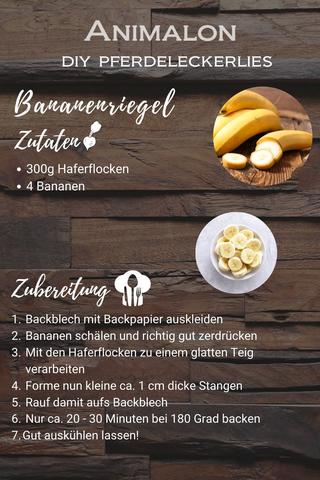 Gesunde und einfache Pferdeleckerlies zum Selbermachen Gesunde und einfache Pferdeleckerlies zum Selbermachen