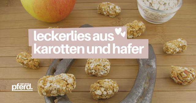 Schmackhafte Snacks für dein Pferd: Selbstgemachte Leckerlies Schmackhafte Snacks für dein Pferd: Selbstgemachte Leckerlies