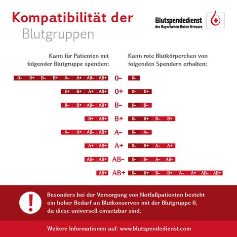 Unterschiede in den Blutgruppen: Warum AB so selten ist Unterschiede in den Blutgruppen: Warum AB so selten ist