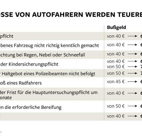5. Bußgelder und Versicherungsschutz: Die Konsequenzen bei fehlenden Winterreifen 5. Bußgelder und Versicherungsschutz: Die Konsequenzen bei fehlenden Winterreifen