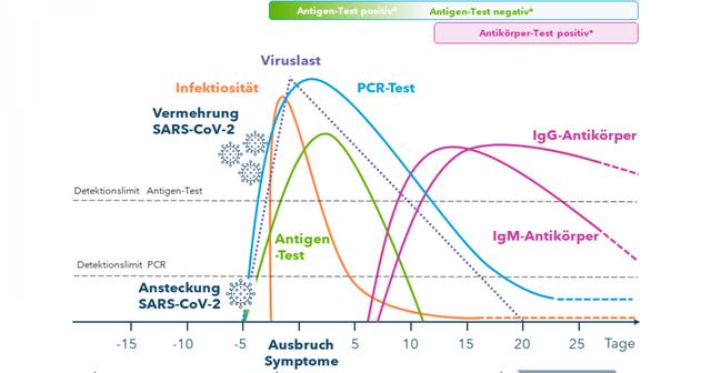 Nach welchem Zeitraum kann Corona zuverlässig diagnostiziert werden?