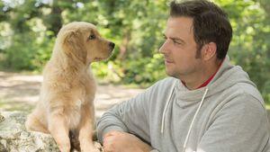 Der richtige Zeitpunkt, um Welpen an ihre neuen Besitzer zu übergeben - Martin Rütters Ratgeber Der richtige Zeitpunkt, um Welpen an ihre neuen Besitzer zu übergeben - Martin Rütters Ratgeber