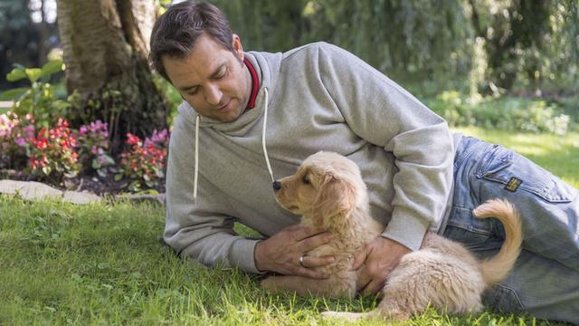 Die Bedeutung der frühen Sozialisierung bei der Abgabe von Welpen - Martin Rütter erklärt Die Bedeutung der frühen Sozialisierung bei der Abgabe von Welpen - Martin Rütter erklärt