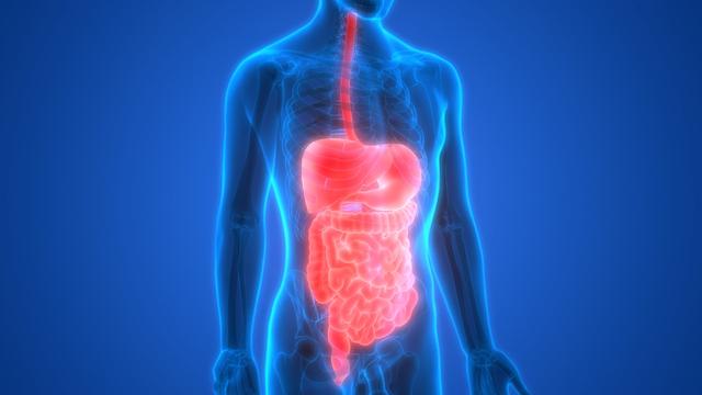 Nebenwirkungen und Risiken der Koloskopie: Was Sie beachten sollten