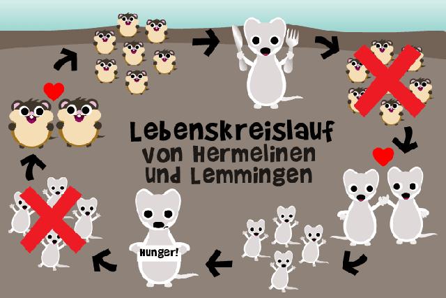 2. Vermehrung und Wanderungen von Lemmingen: Ein Kreislauf des Lebens 2. Vermehrung und Wanderungen von Lemmingen: Ein Kreislauf des Lebens