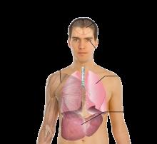 Die Bedeutung des Ammoniakgeruchs auf Bauernhöfen Die Bedeutung des Ammoniakgeruchs auf Bauernhöfen