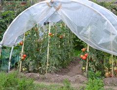 Schritt-für-Schritt-Anleitung: So bauen Sie Ihre eigenen Folientunnel-Bögen Schritt-für-Schritt-Anleitung: So bauen Sie Ihre eigenen Folientunnel-Bögen